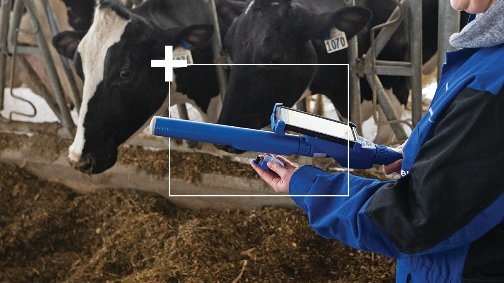 DeLaval Plus Behavior Analysis Helps Find Sick Cows Faster